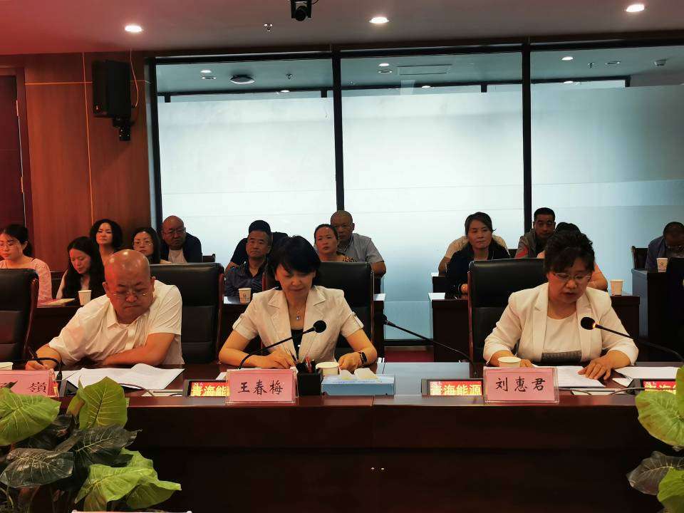 集團公司領導班子述職  程彩琳攝.jpg